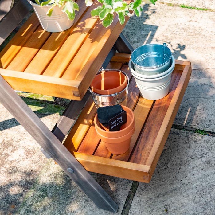 Rowlinson Alderley Plant Ladder Small