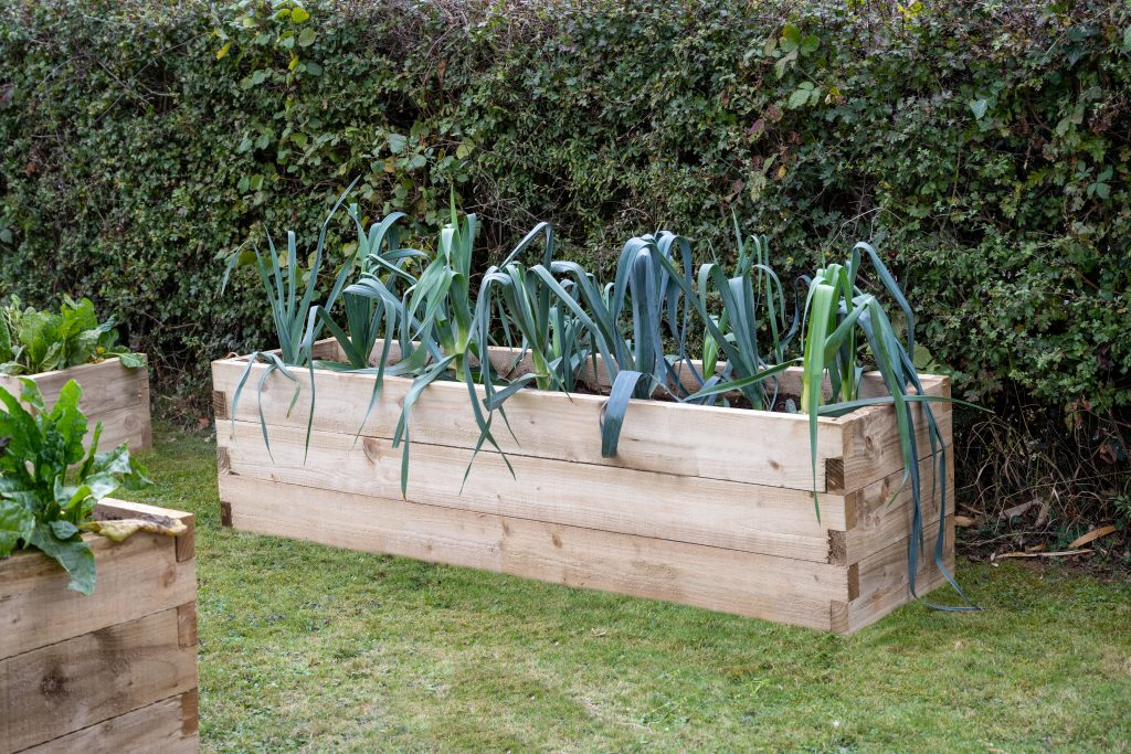 Caledonian Trough Raised Bed