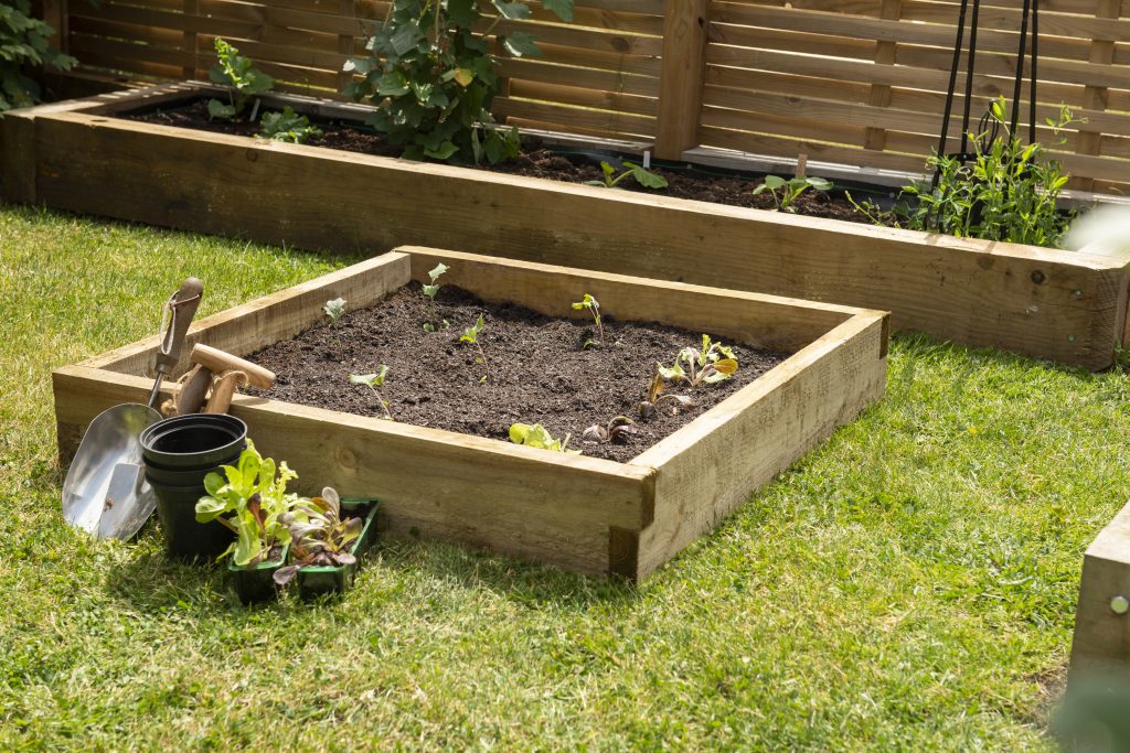 Caledonian Compact Raised Bed – 90 x 90cm