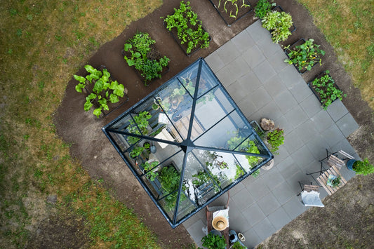 Halls Qube Square Greenhouse 88