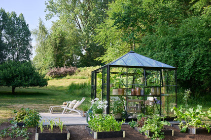 Halls Qube Square Greenhouse 88