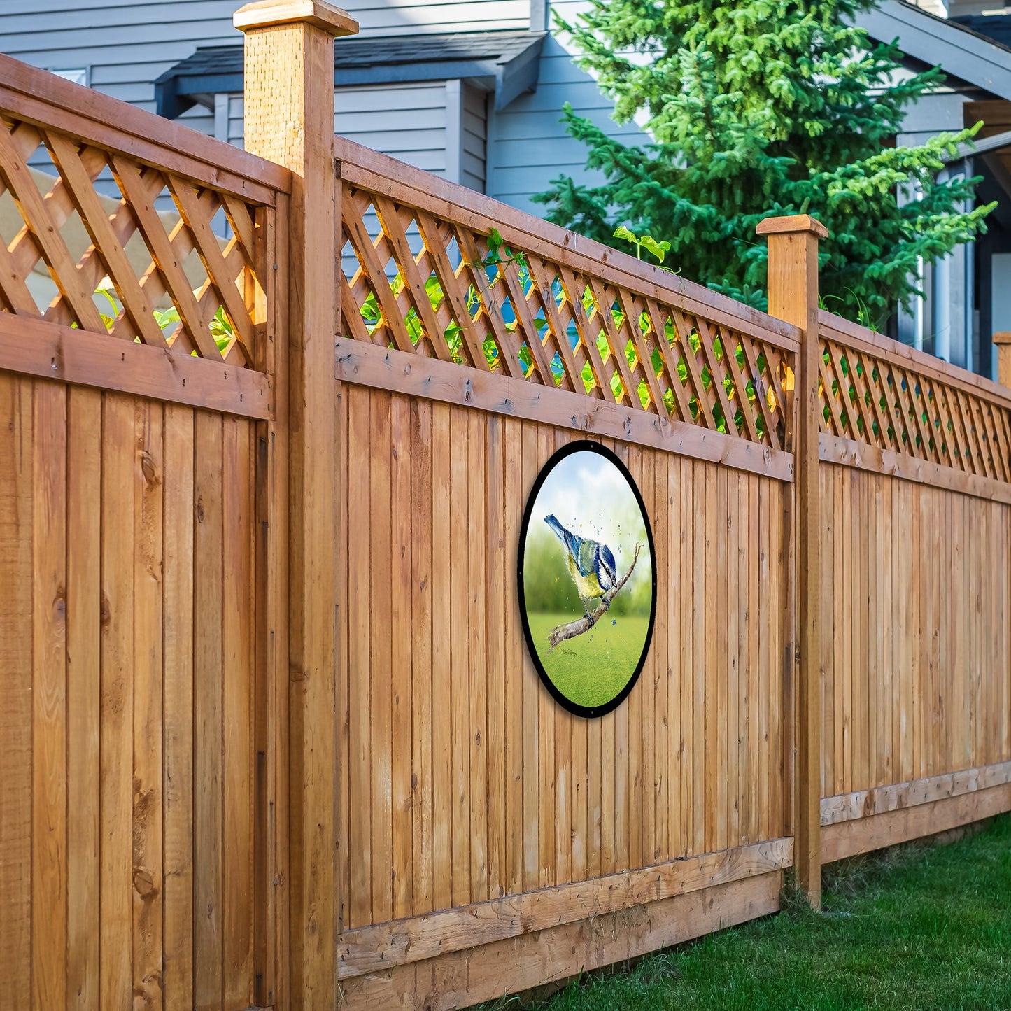SunCatcher Garden Mirror Betty, the Blue Tit bird Illustrations by Bree Merryn
