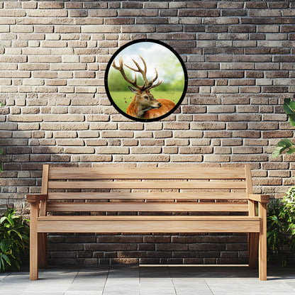 SunCatcher Garden Mirror Sutherland, the Highland Stag, Illustrations by Bree Merryn