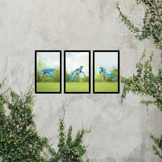 SunCatcher Garden Mirror Set 3 Turtle Tribe Illustrations by Bree Merryn