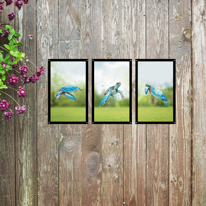 SunCatcher Garden Mirror Set 3 Turtle Tribe Illustrations by Bree Merryn