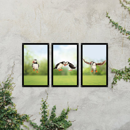 SunCatcher Garden Mirror Set 3 Puffin Parade Illustrations by Bree Merryn