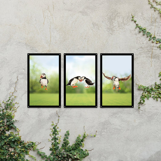 SunCatcher Garden Mirror Set 3 Puffin Parade Illustrations by Bree Merryn