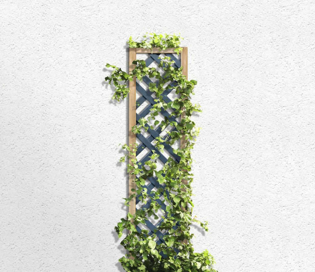 Forest Grey Painted Lattice