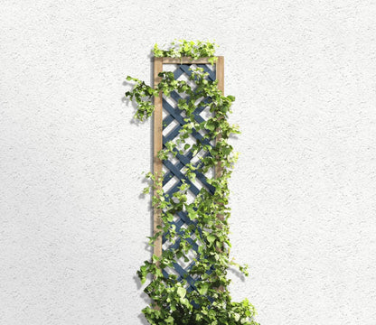 Forest Grey Painted Lattice