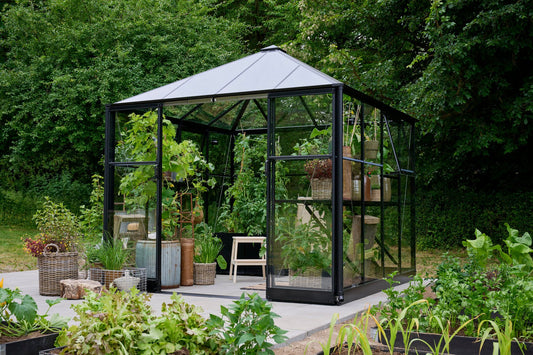 Halls Qube Square Greenhouse 88