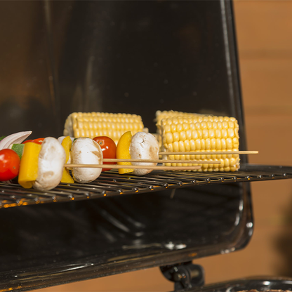 Cuba 2 Gas Burner BBQ