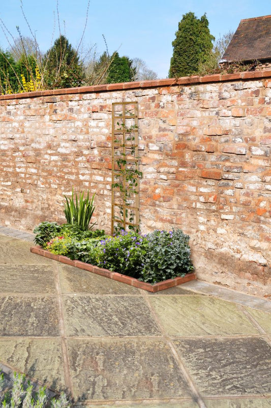 Forest Smooth Planed Trellis
