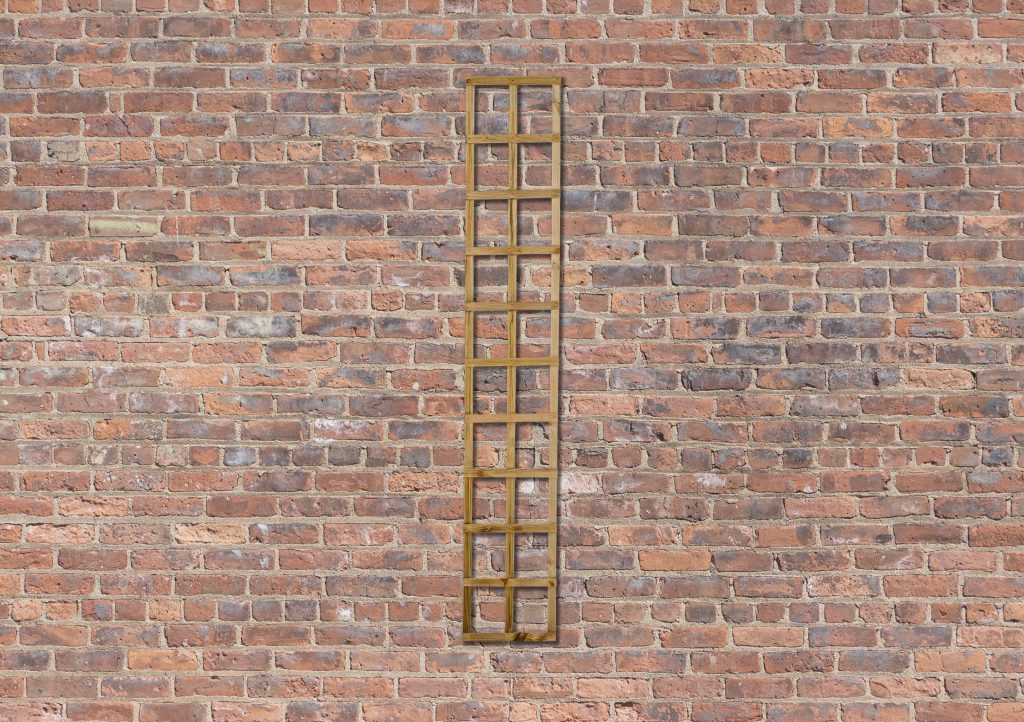 Forest Smooth Planed Trellis - 180 x 30cm, 10 - Taylors Garden Buildings