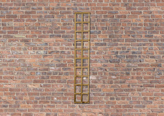 Forest Smooth Planed Trellis
