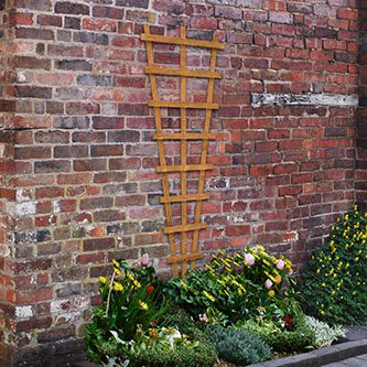 Forest Heavy Duty Fan Trellis - 183 x 66cm