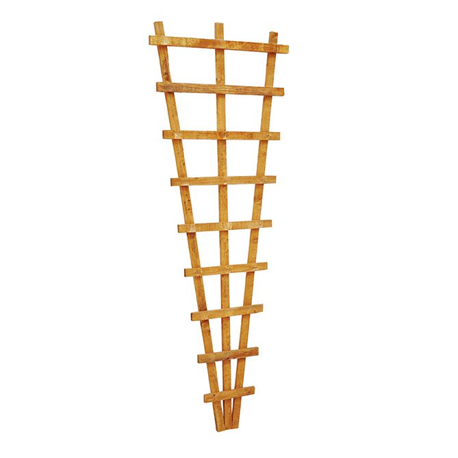 Forest Heavy Duty Fan Trellis - 183 x 66cm