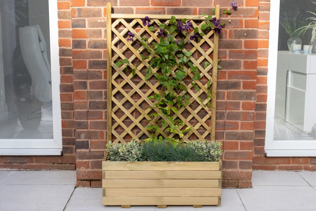 Trellis Planter