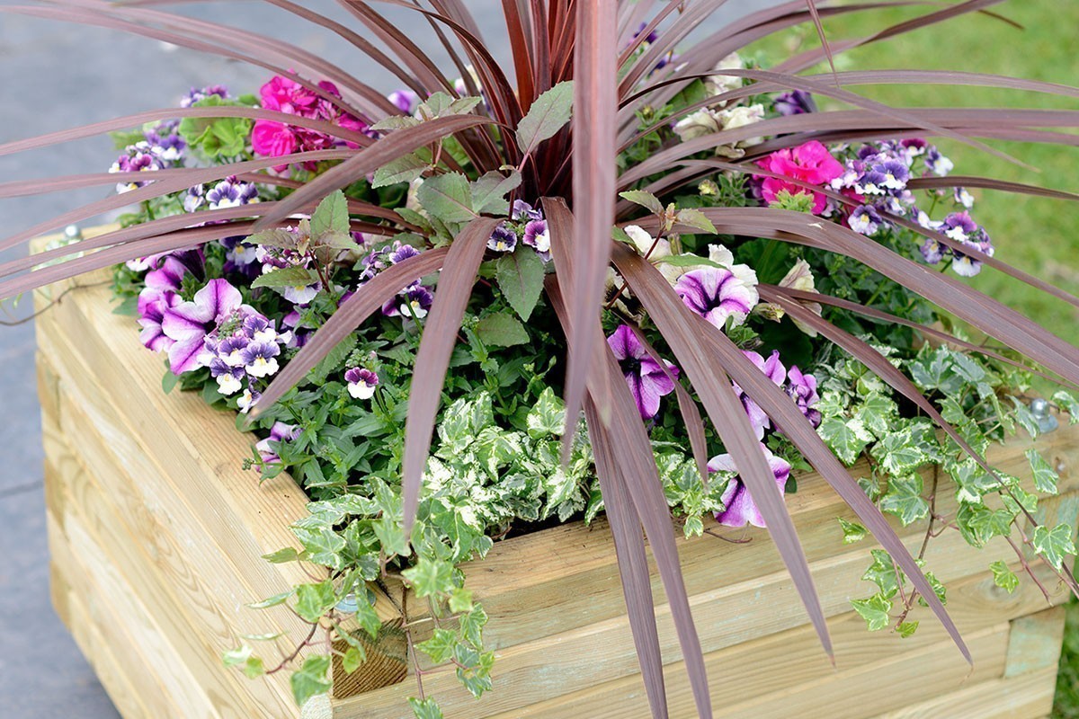 Elite Square Planter - Large