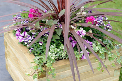 Elite Square Planter - Large