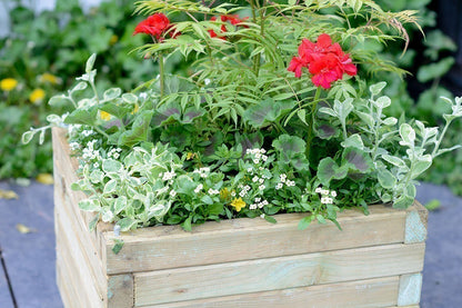 Elite Square Planter - Medium