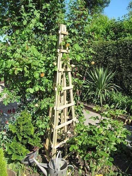 Grange Trellis Obelisk Climbing Frame