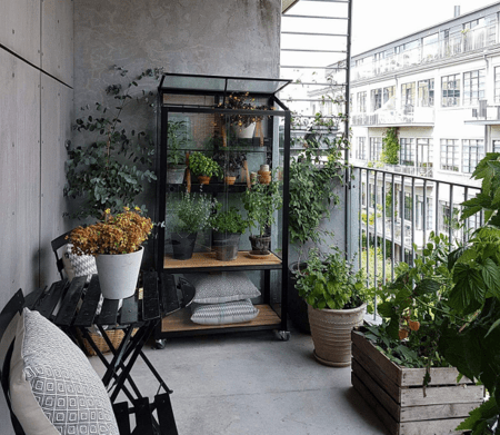 Halls Juliana City Greenhouse