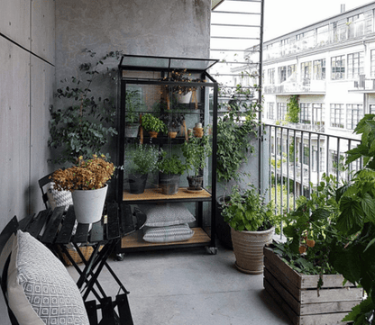 Halls Juliana City Greenhouse