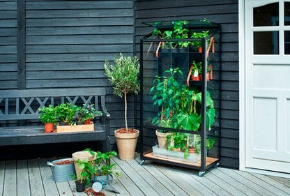 Halls Juliana City Greenhouse