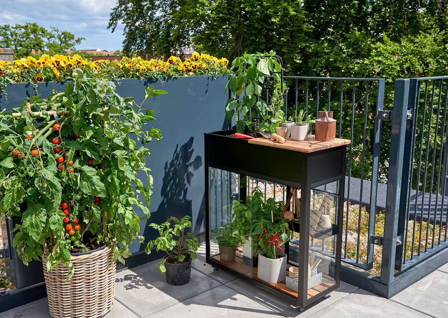 Halls Juliana Vertical Greenhouse