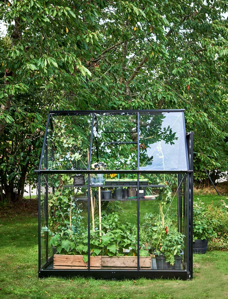 Halls Qube 66 Black Greenhouse