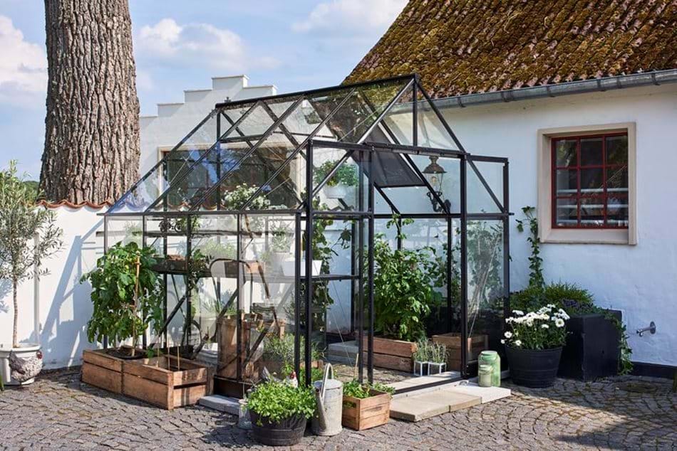 Halls Qube+ 88 Black Greenhouse