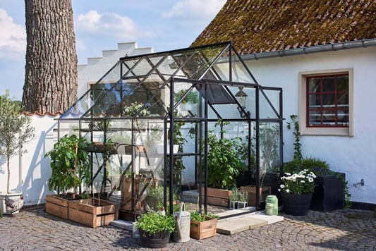 Halls Qube+ 88 Black Greenhouse