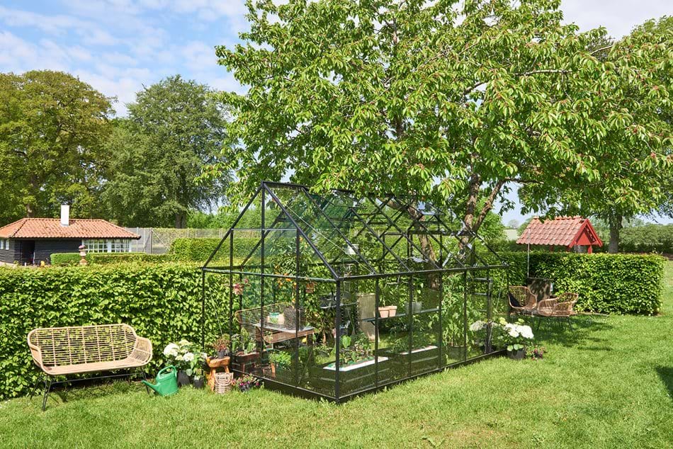 Halls Qube+ 812 Black Greenhouse