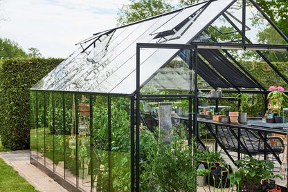 Halls Qube+ 816 Black Greenhouse