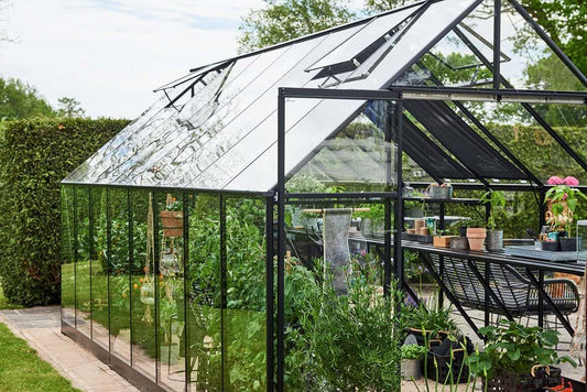 Halls Qube+ 816 Black Greenhouse