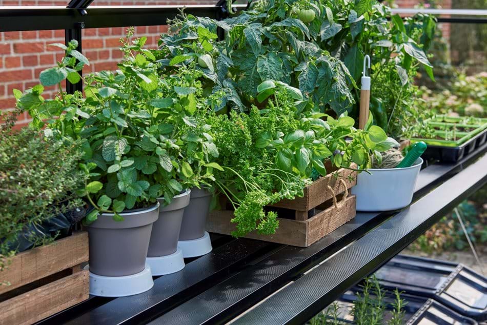 Halls Qube Accessory - 10' Integral Staging Black