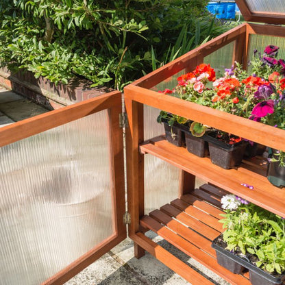 Rowlinson Hardwood Coldframe