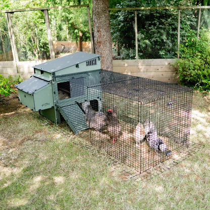 Nestera Aspen 6 Chicken coop for up to 6 Large Birds