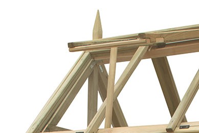 Victorian Walkaround Greenhouse