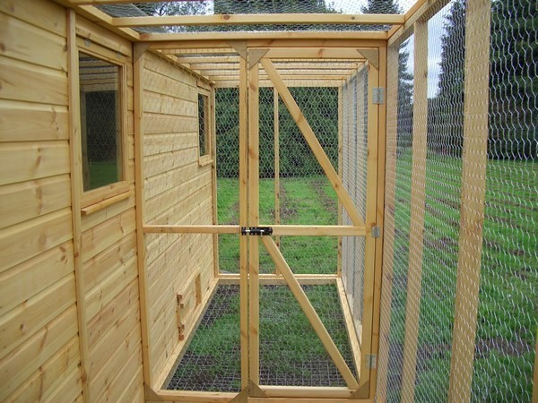 Rabbit Shed and Run
