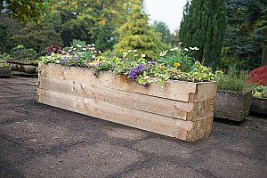 Forest Caledonian Planter 