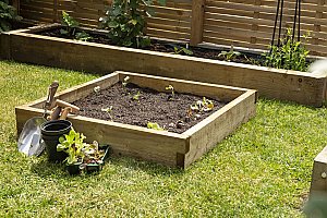 Forest Caledonian Compact Raised Bed 