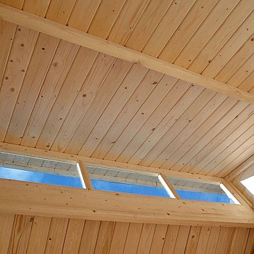 Skylight Shed With Lean To Light Grey