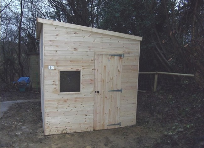 Pent Shed with single shed door