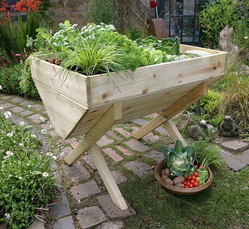 Vegetable Bed
