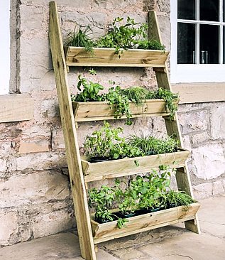Ladder Planter