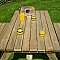 Rowlinson Picnic Table - 4ft