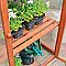 Rowlinson Hardwood Mini Greenhouse